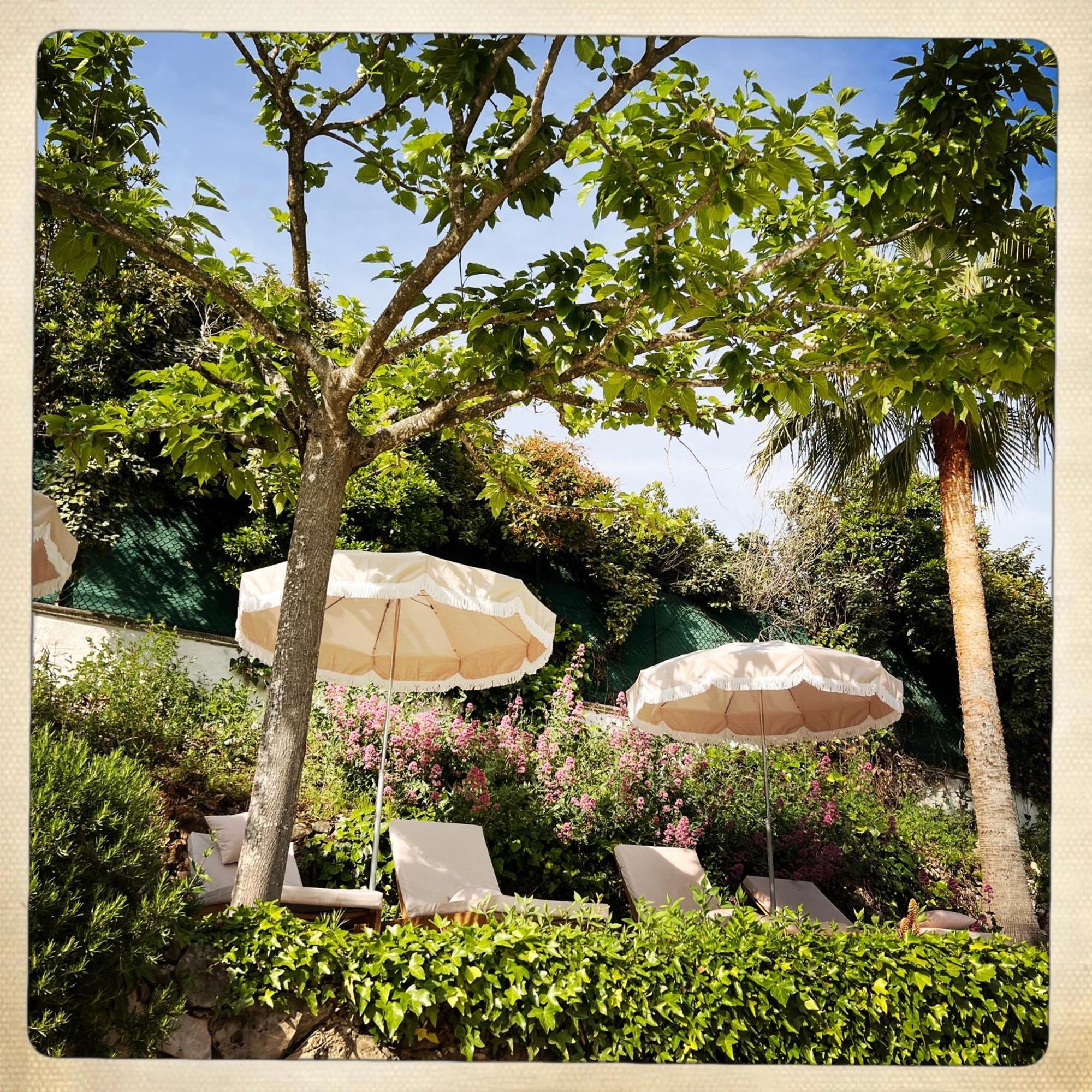 Hotel Les Messugues แซงต์-ปอล-เดอ-วองส์ ภายนอก รูปภาพ